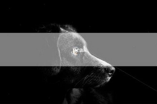 peak