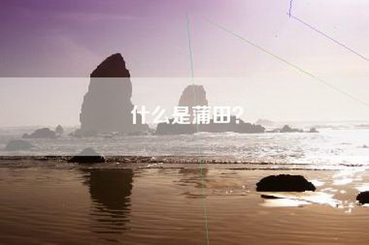 什么是蒲田？