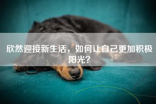 欣然迎接新生活，如何让自己更加积极阳光？