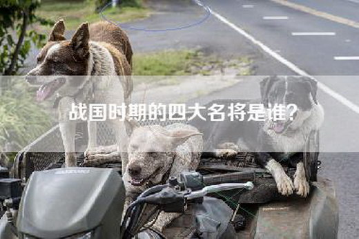 战国时期的四大名将是谁？