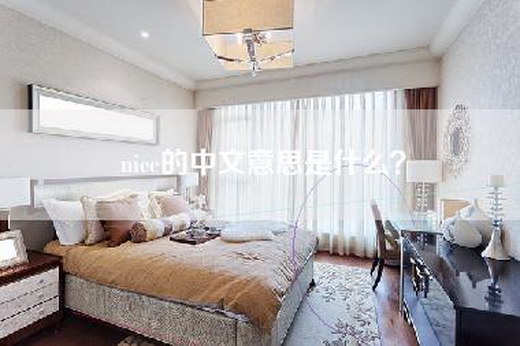 nice的中文意思是什么？