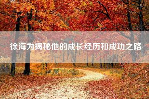 徐海为揭秘他的成长经历和成功之路