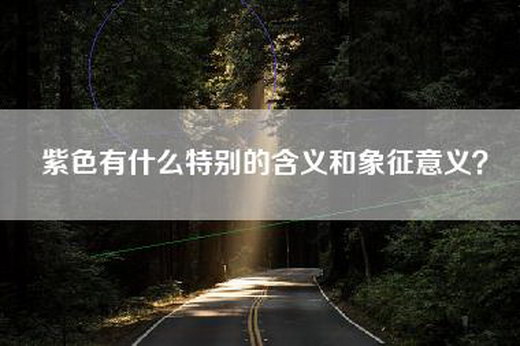 紫色有什么特别的含义和象征意义？
