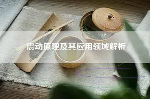 震动原理及其应用领域解析