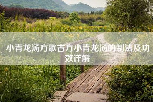 小青龙汤方歌古方小青龙汤的制法及功效详解