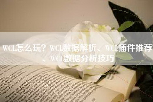 WCL怎么玩？WCL数据解析、WCL插件推荐、WCL数据分析技巧