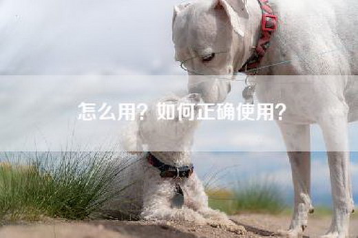 怎么用？如何正确使用？