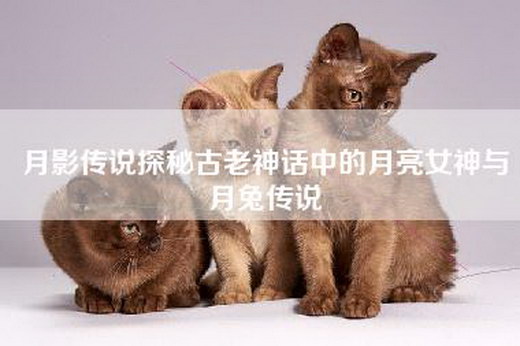 月影传说探秘古老神话中的月亮女神与月兔传说