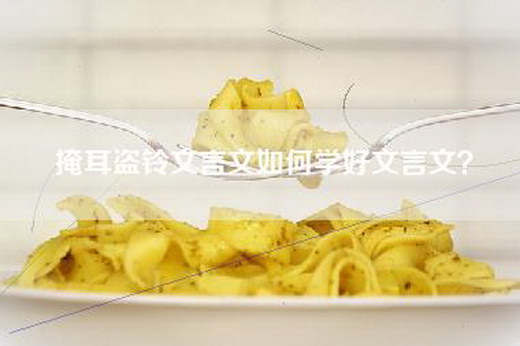 掩耳盗铃文言文如何学好文言文？