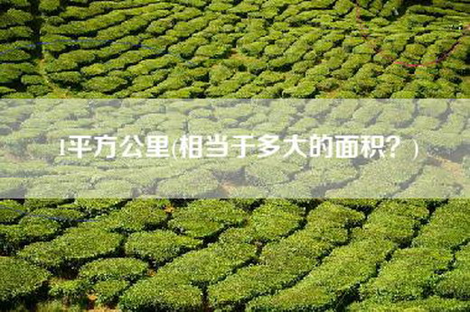 1平方公里(相当于多大的面积？)
