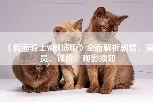 《假面骑士W剧场版》全面解析剧情、演员、评价、观影须知