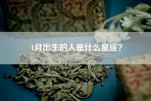 1月出生的人是什么星座？