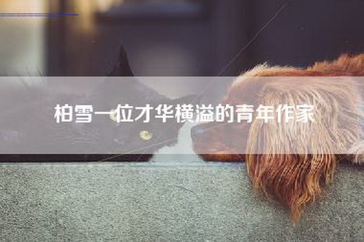 柏雪一位才华横溢的青年作家