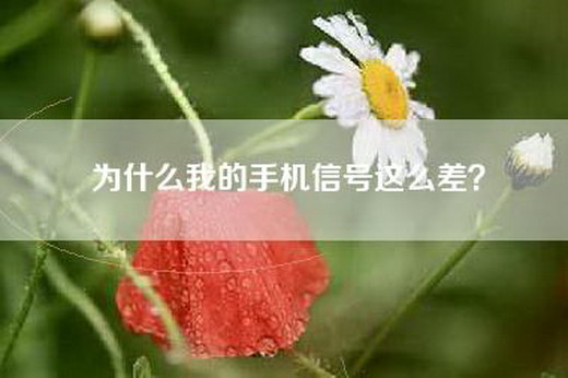 为什么我的手机信号这么差？