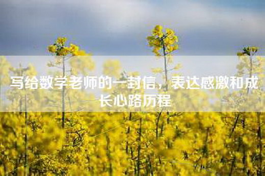 写给数学老师的一封信，表达感激和成长心路历程