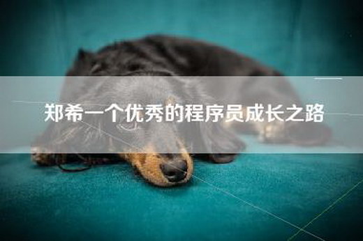郑希一个优秀的程序员成长之路