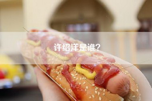 许绍洋是谁？
