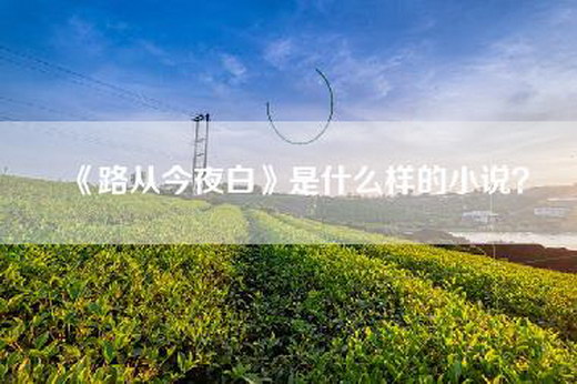 《路从今夜白》是什么样的小说？