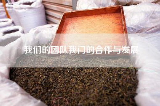 我们的团队我门的合作与发展