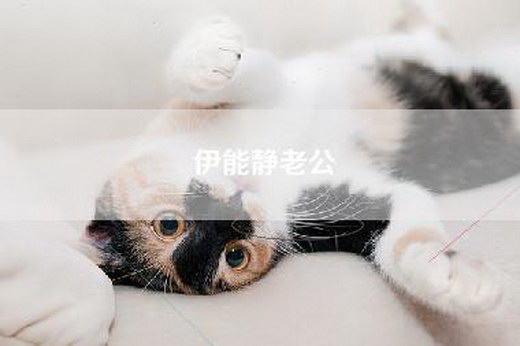 伊能静老公