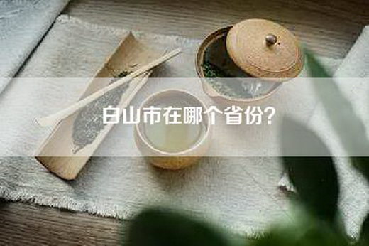 白山市在哪个省份？