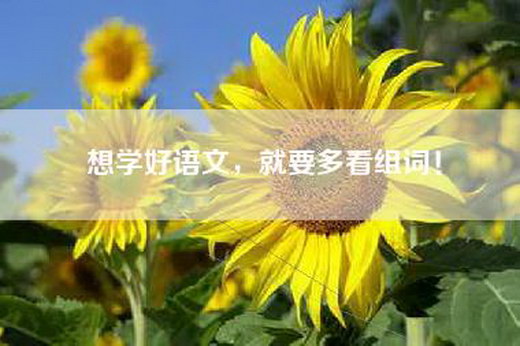 想学好语文，就要多看组词！