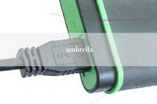 umbrella