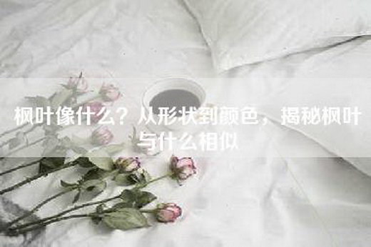 枫叶像什么？从形状到颜色，揭秘枫叶与什么相似