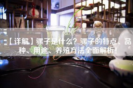 【详解】骡子是什么？骡子的特点、品种、用途、养殖方法全面解析！