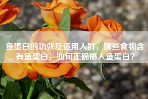鱼蛋白的功效及适用人群，哪些食物含有鱼蛋白，如何正确摄入鱼蛋白？