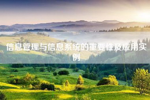 信息管理与信息系统的重要性及应用实例