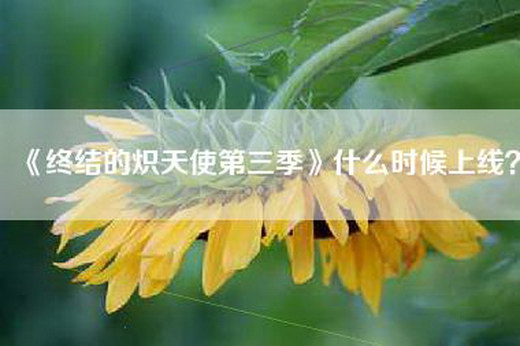 《终结的炽天使第三季》什么时候上线？