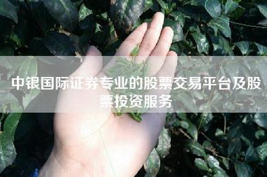 中银国际证券专业的股票交易平台及股票投资服务
