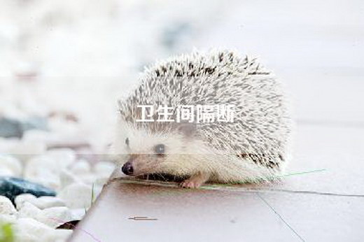 卫生间隔断