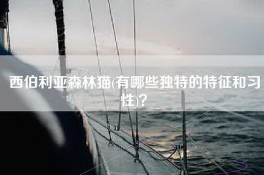 西伯利亚森林猫(有哪些独特的特征和习性)？