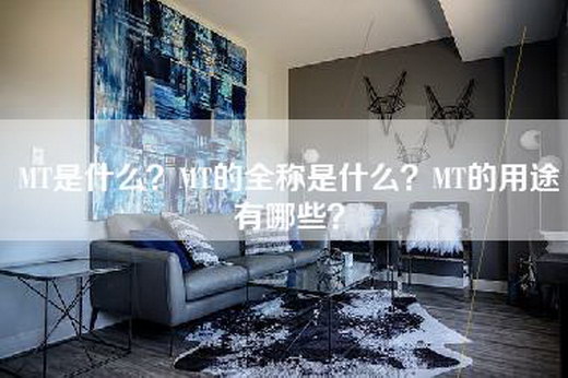 MT是什么？MT的全称是什么？MT的用途有哪些？