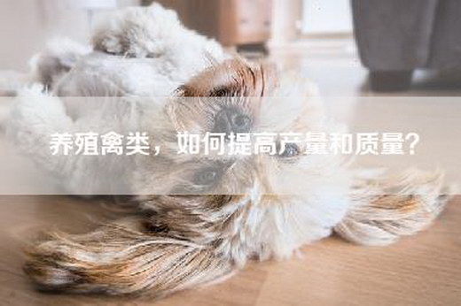 养殖禽类，如何提高产量和质量？