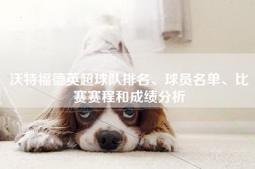 沃特福德英超球队排名、球员名单、比赛赛程和成绩分析