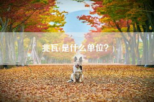 兆瓦(是什么单位？)