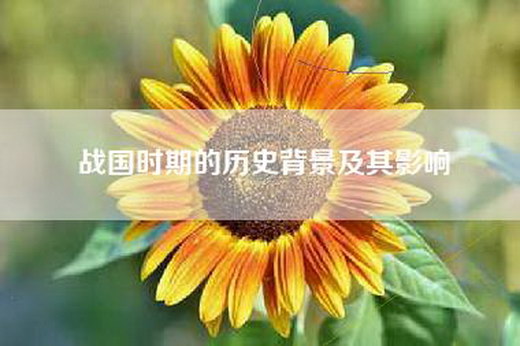 战国时期的历史背景及其影响