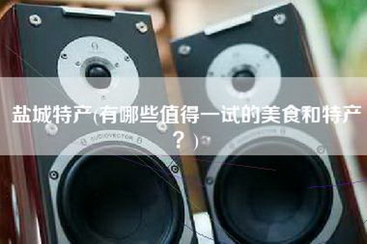 盐城特产(有哪些值得一试的美食和特产？)