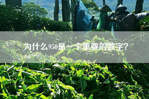 为什么950是一个重要的数字？