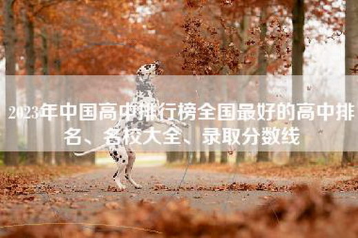 2023年中国高中排行榜全国最好的高中排名、名校大全、录取分数线