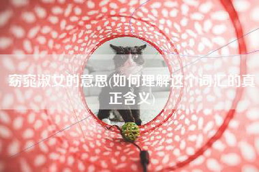 窈窕淑女的意思(如何理解这个词汇的真正含义)