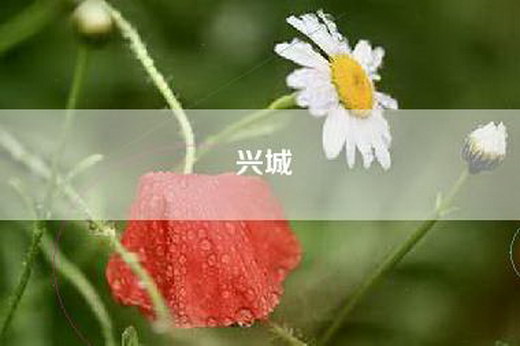 兴城