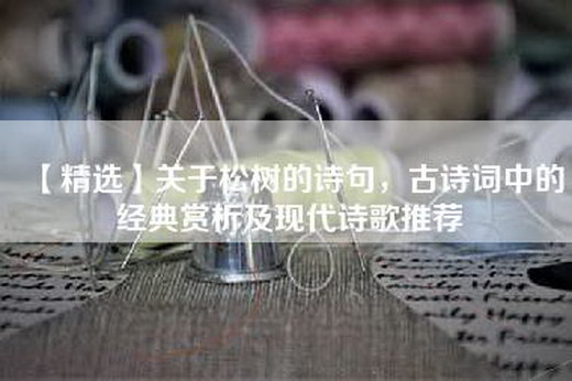 【精选】关于松树的诗句，古诗词中的经典赏析及现代诗歌推荐