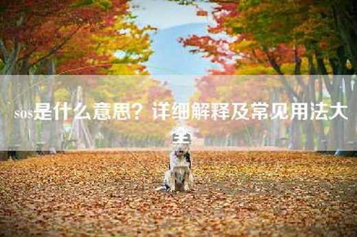 sos是什么意思？详细解释及常见用法大全
