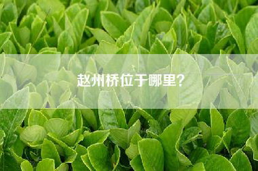 赵州桥位于哪里？