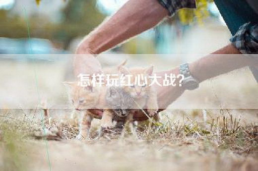 怎样玩红心大战？