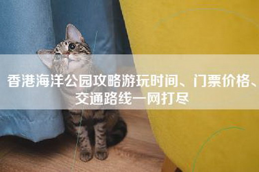 香港海洋公园攻略游玩时间、门票价格、交通路线一网打尽